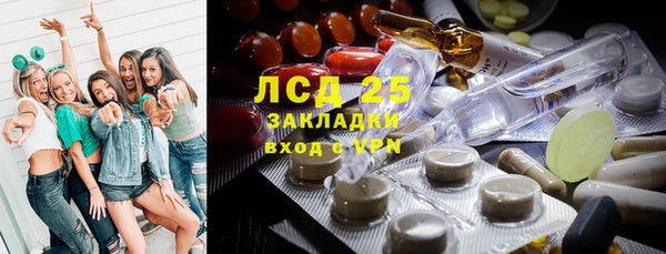 эйфоретик Аркадак