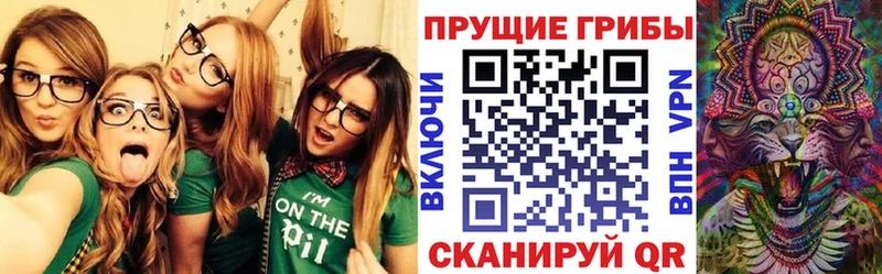 продажа наркотиков  Черемхово  Галлюциногенные грибы ЛСД 